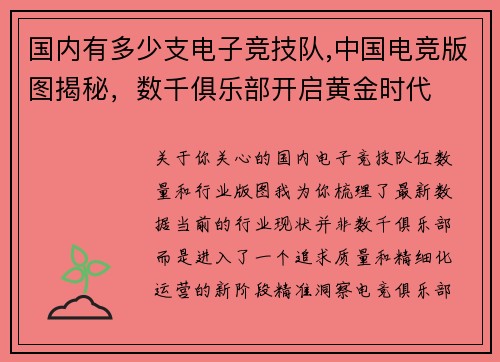 国内有多少支电子竞技队,中国电竞版图揭秘，数千俱乐部开启黄金时代